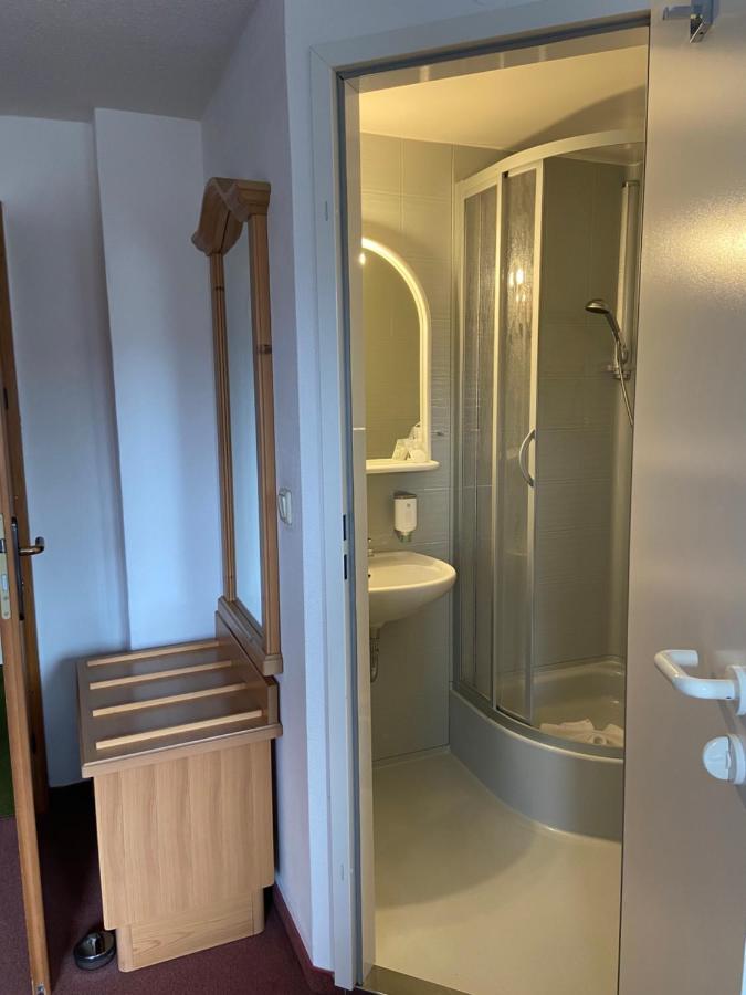 Muldenschlosschen Hotel Lunzenau Luaran gambar